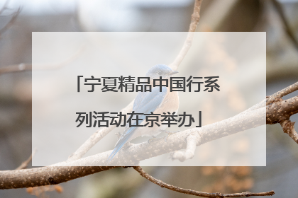 宁夏精品中国行系列活动在京举办
