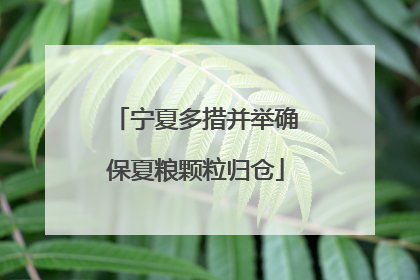 宁夏多措并举确保夏粮颗粒归仓