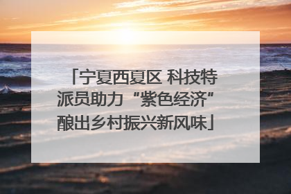 宁夏西夏区 科技特派员助力“紫色经济”酿出乡村振兴新风味