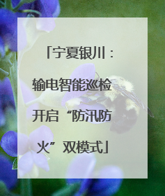 宁夏银川：输电智能巡检开启“防汛防火”双模式