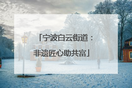 宁波白云街道：非遗匠心助共富