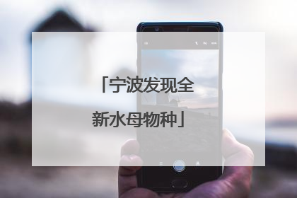 宁波发现全新水母物种