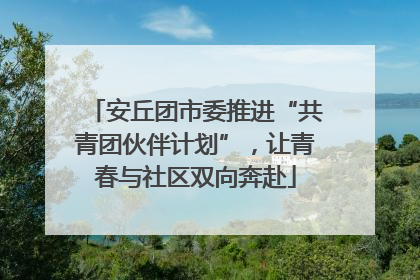 安丘团市委推进“共青团伙伴计划”，让青春与社区双向奔赴