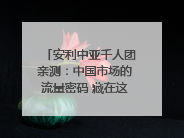 安利中亚千人团亲测：中国市场的流量密码 藏在这些细节里