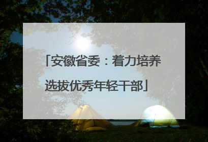 安徽省委：着力培养选拔优秀年轻干部