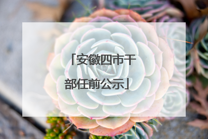安徽四市干部任前公示