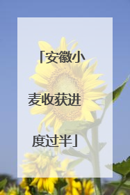 安徽小麦收获进度过半
