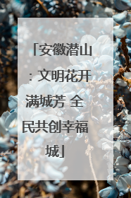 安徽潜山：文明花开满城芳 全民共创幸福城