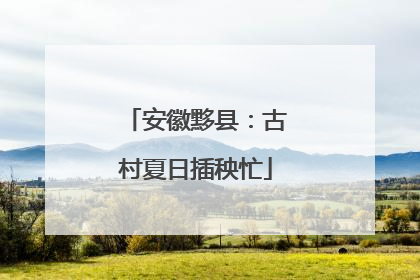 安徽黟县：古村夏日插秧忙