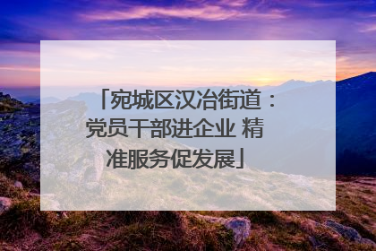 宛城区汉冶街道：党员干部进企业 精准服务促发展