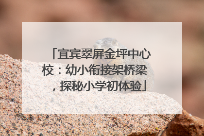 宜宾翠屏金坪中心校：幼小衔接架桥梁，探秘小学初体验