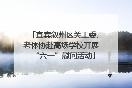 宜宾叙州区关工委、老体协赴高场学校开展“六一”慰问活动