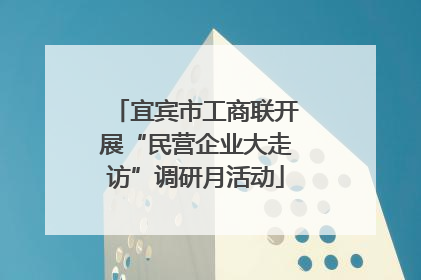 宜宾市工商联开展“民营企业大走访”调研月活动