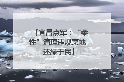 宜昌点军：“柔性”清理违规菜地 还绿于民