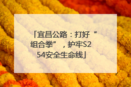 宜昌公路：打好“组合拳”，护牢S254安全生命线
