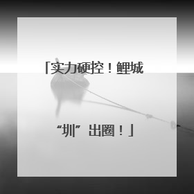实力硬控！鲤城“圳”出圈！