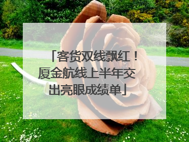 客货双线飘红！厦金航线上半年交出亮眼成绩单