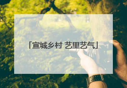宣城乡村 艺里艺气