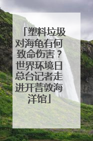 塑料垃圾对海龟有何致命伤害？世界环境日总台记者走进开普敦海洋馆
