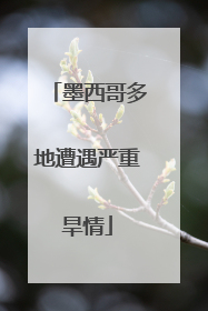 墨西哥多地遭遇严重旱情
