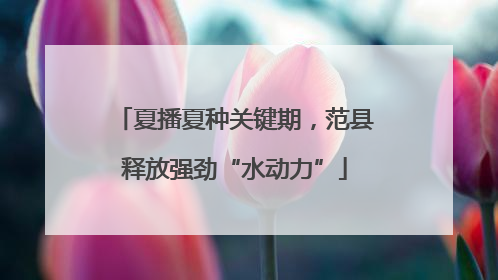 夏播夏种关键期，范县释放强劲“水动力”