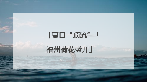 夏日“顶流”！福州荷花盛开