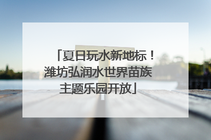 夏日玩水新地标！潍坊弘润水世界苗族主题乐园开放