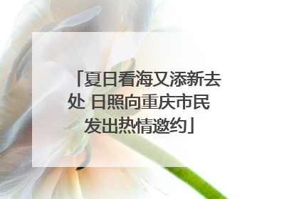 夏日看海又添新去处 日照向重庆市民发出热情邀约