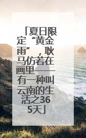 夏日限定“黄金雨”，耿马仿若在画里——有一种叫云南的生活之365天