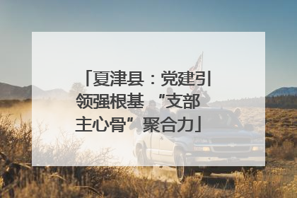 夏津县：党建引领强根基 “支部主心骨”聚合力