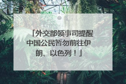 外交部领事司提醒中国公民暂勿前往伊朗、以色列！