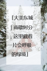 大美东城｜雨歇时分，这里藏着一片会呼吸的绿境