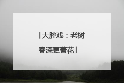 大腔戏：老树春深更著花