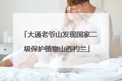 大通老爷山发现国家二级保护植物山西杓兰