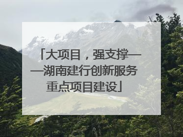 大项目，强支撑——湖南建行创新服务重点项目建设