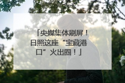 央媒集体刷屏！日照这座“宝藏港口”火出圈！