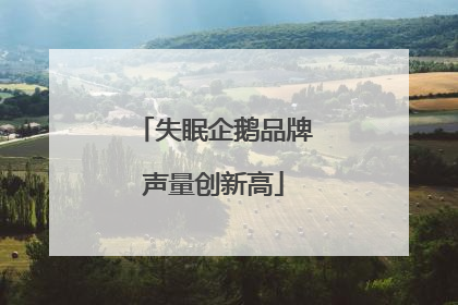 失眠企鹅品牌声量创新高