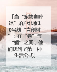 当“宠物咖啡馆”落户北京10号线“青创村”：在“卷”与“躺”之间，他们找到了第三种生活公式