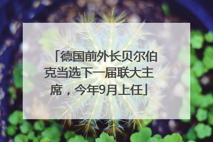 德国前外长贝尔伯克当选下一届联大主席，今年9月上任