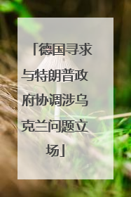 德国寻求与特朗普政府协调涉乌克兰问题立场