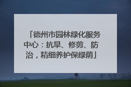 德州市园林绿化服务中心：抗旱、修剪、防治，精细养护保绿荫