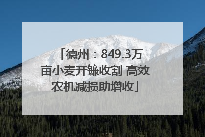 德州：849.3万亩小麦开镰收割 高效农机减损助增收