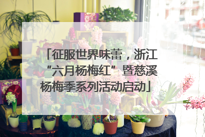 征服世界味蕾，浙江“六月杨梅红”暨慈溪杨梅季系列活动启动