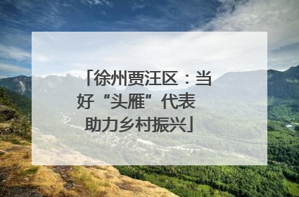 徐州贾汪区：当好“头雁”代表 助力乡村振兴