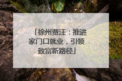 徐州贾汪：推进家门口就业，引领致富新路径