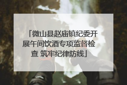 微山县赵庙镇纪委开展午间饮酒专项监督检查 筑牢纪律防线