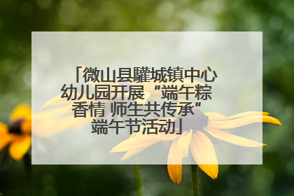 微山县驩城镇中心幼儿园开展“端午粽香情 师生共传承”端午节活动