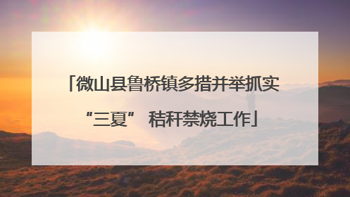 微山县鲁桥镇多措并举抓实 “三夏” 秸秆禁烧工作