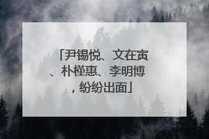 尹锡悦、文在寅、朴槿惠、李明博，纷纷出面