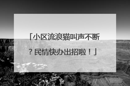 小区流浪猫叫声不断？民情快办出招啦！